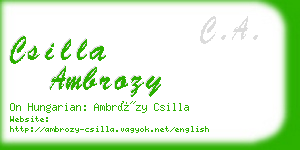 csilla ambrozy business card